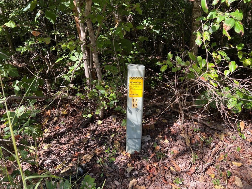 3136 K-Fork Road Madison, NC 27025 - Photo 12 of 15
