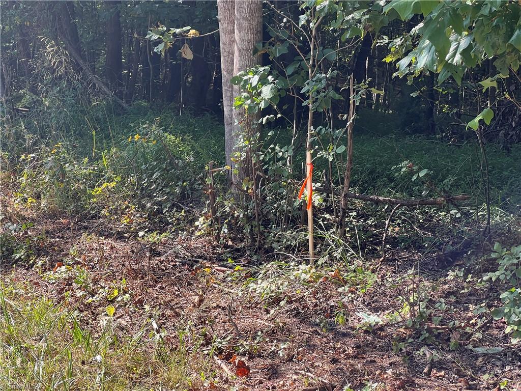 3136 K-Fork Road Madison, NC 27025 - Photo 14 of 15