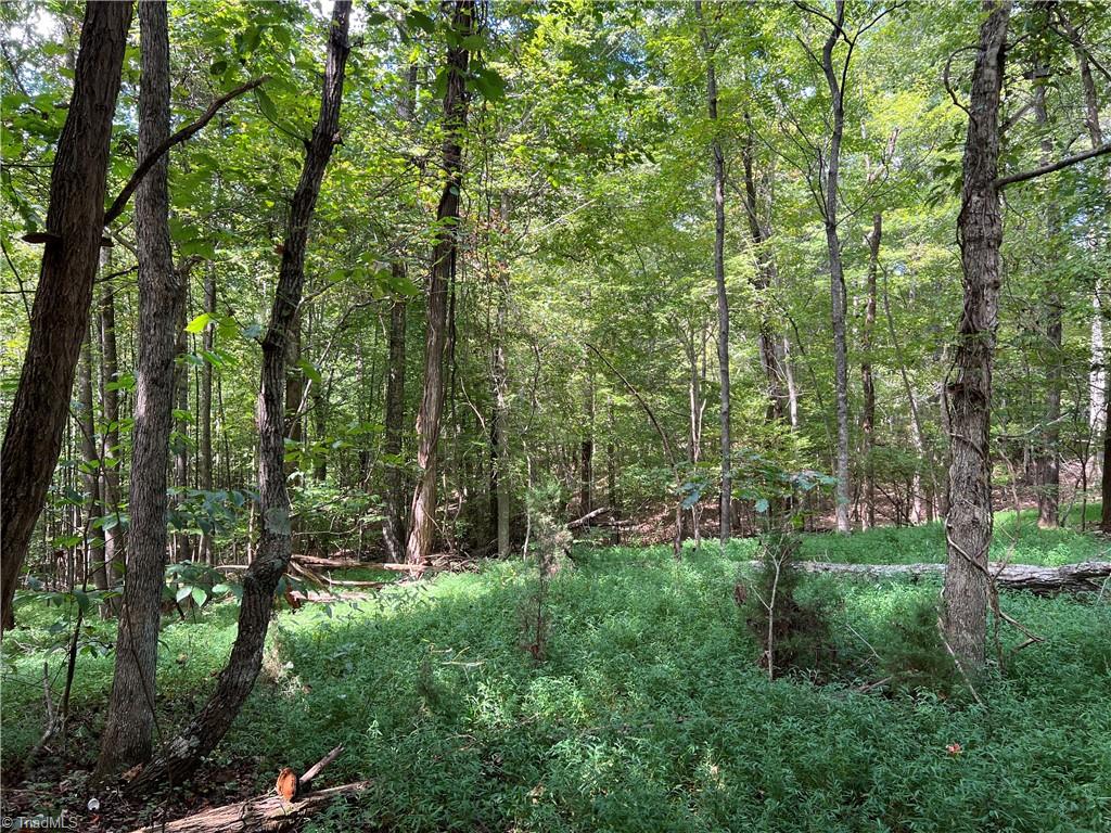 3136 K-Fork Road Madison, NC 27025 - Photo 4 of 15