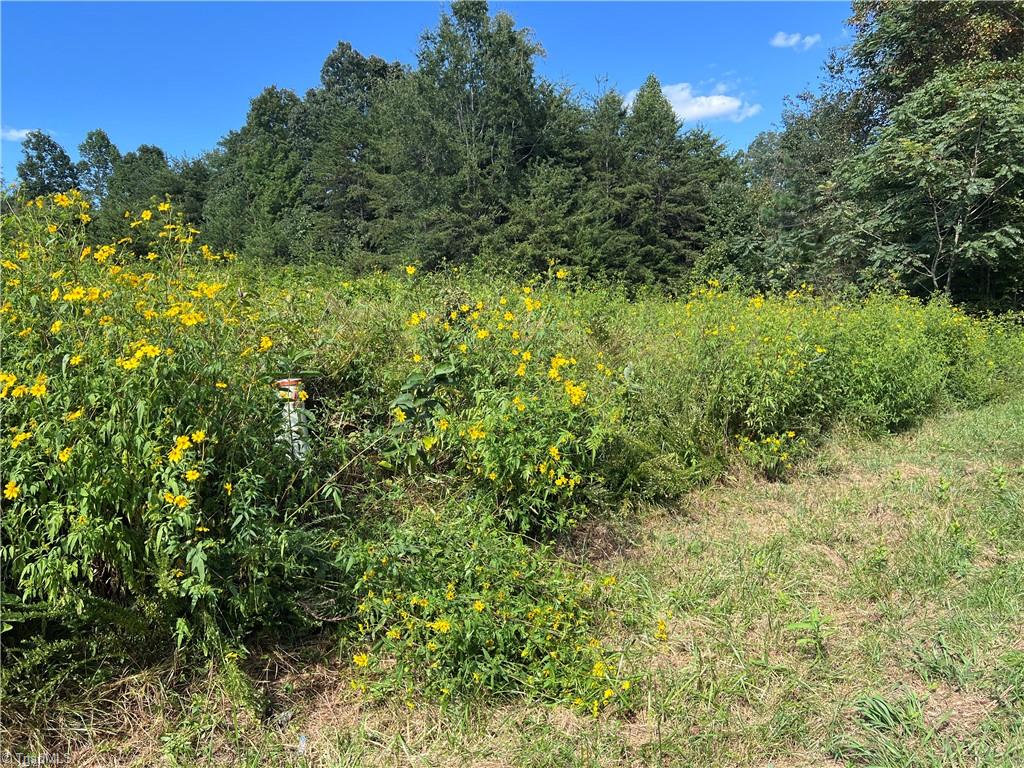 3136 K-Fork Road Madison, NC 27025 - Photo 10 of 15