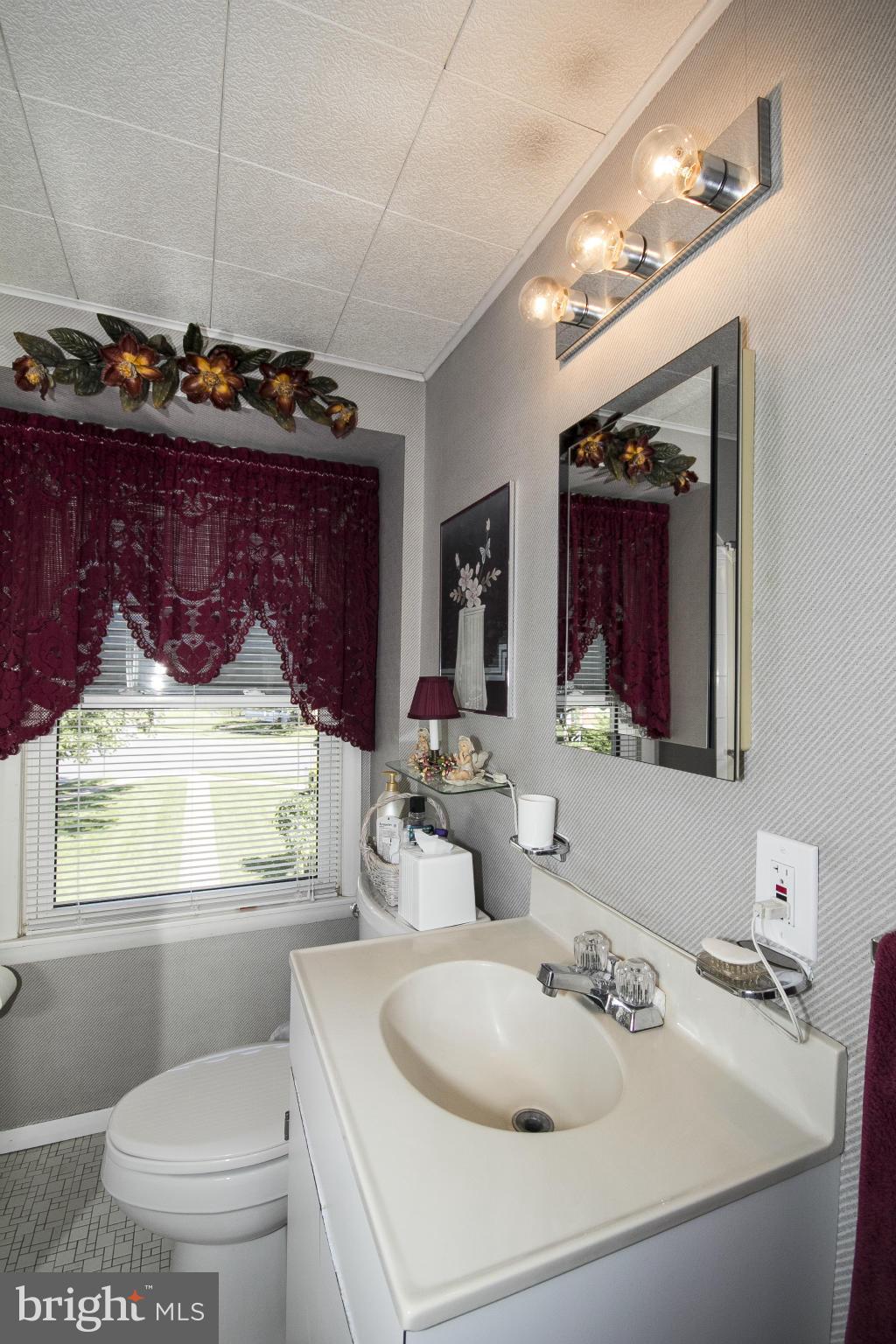 2136 Cockspur Road Baltimore, MD 21220 - Photo 13 of 20 a bathroom with a toilet sink and mirror