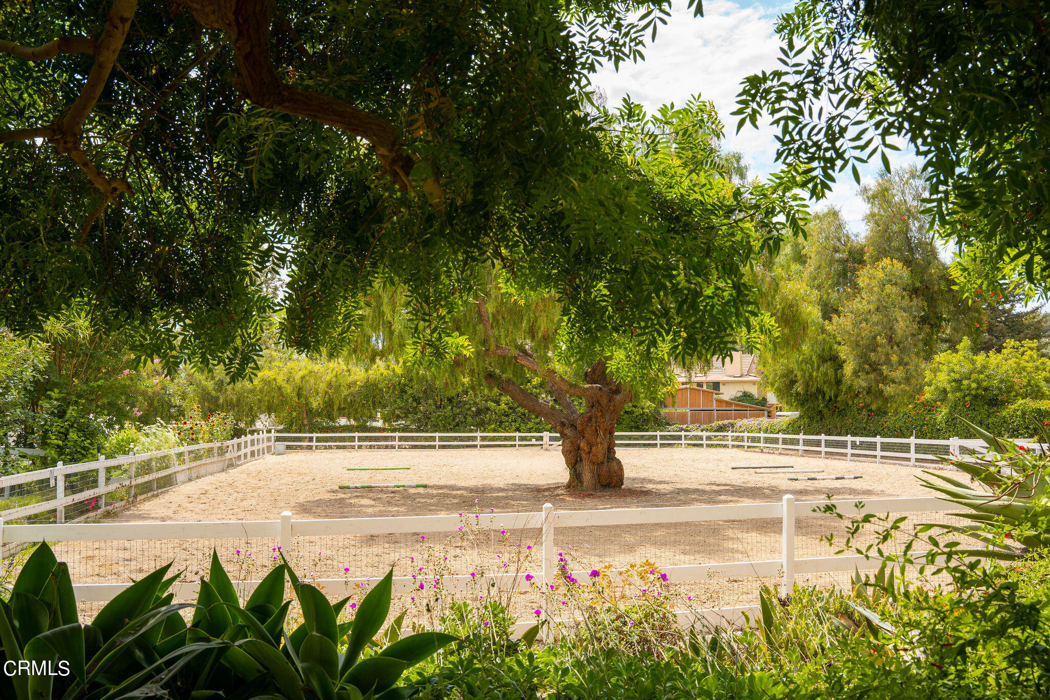 11798 Pradera Road Camarillo, CA 93012 - Photo 11 of 72 GAV06159