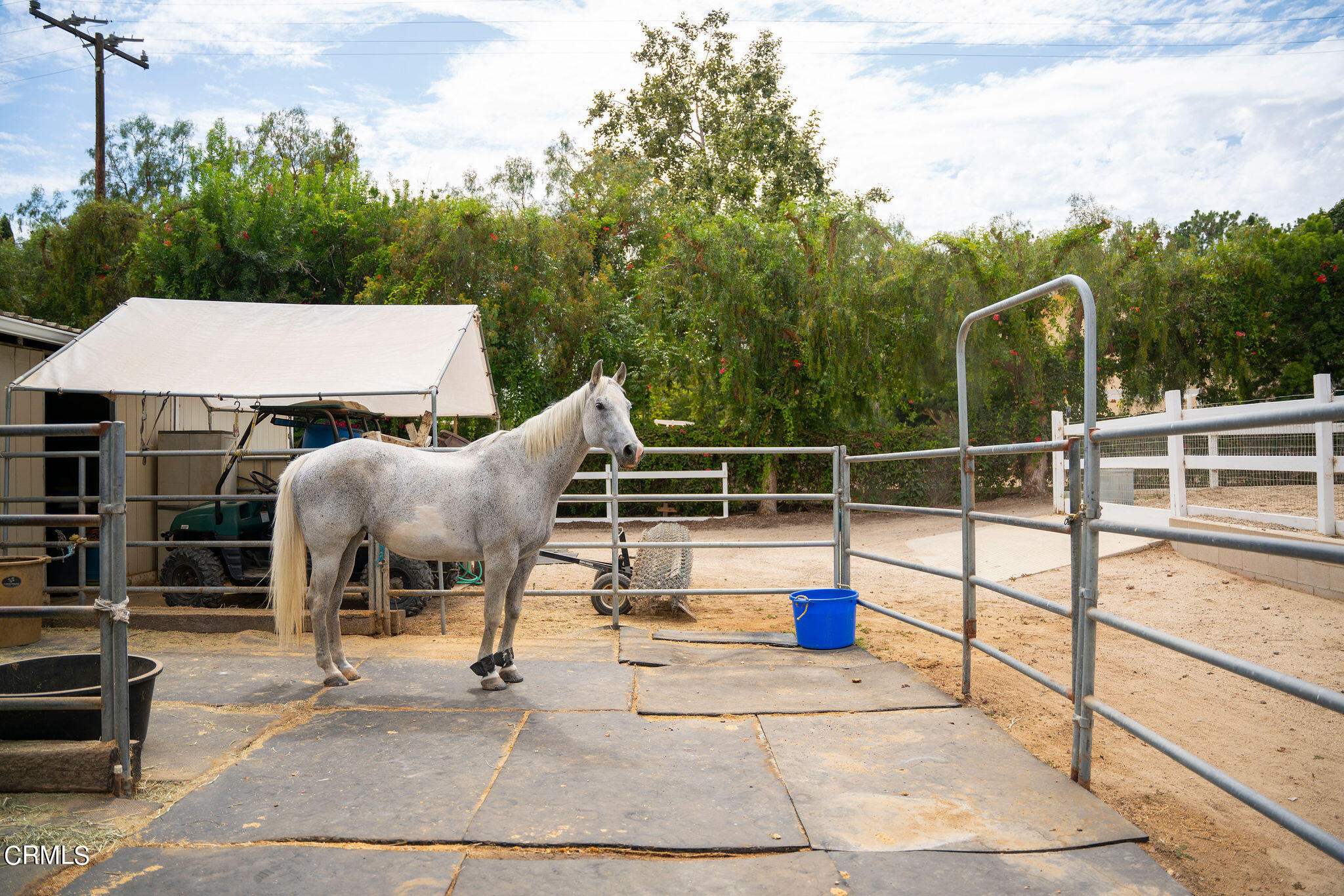 11798 Pradera Road Camarillo, CA 93012 - Photo 12 of 72 GAV06195