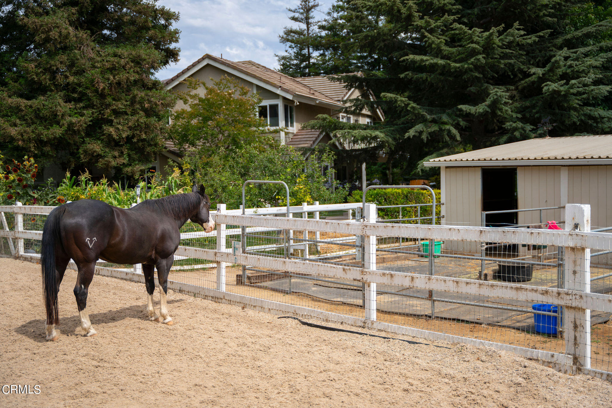 11798 Pradera Road Camarillo, CA 93012 - Photo 56 of 72 GAV06206
