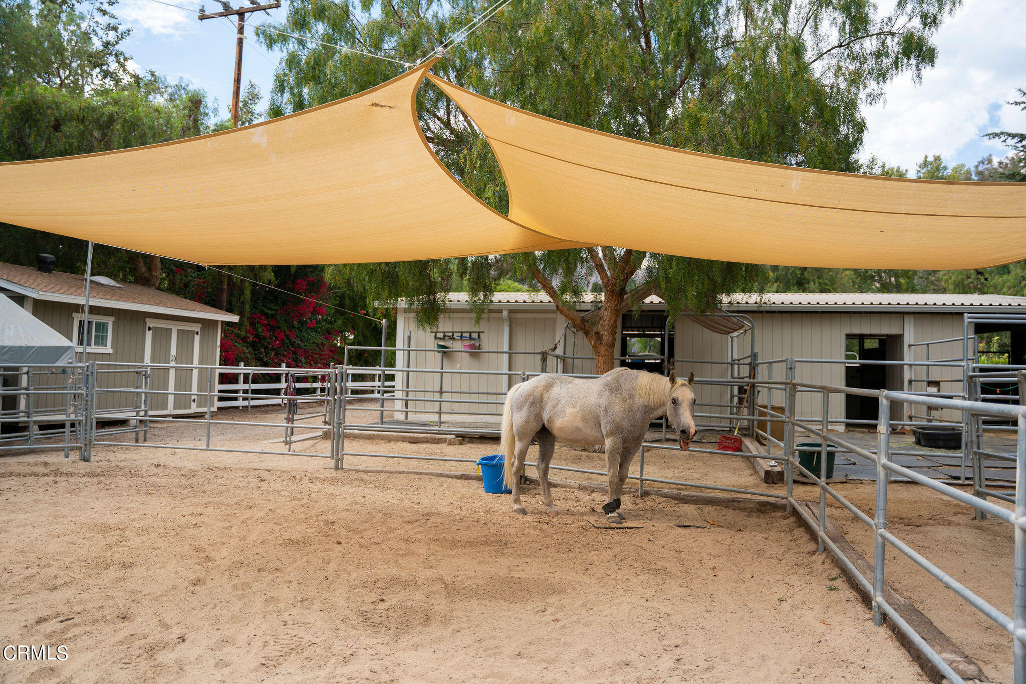 11798 Pradera Road Camarillo, CA 93012 - Photo 59 of 72 GAV06225