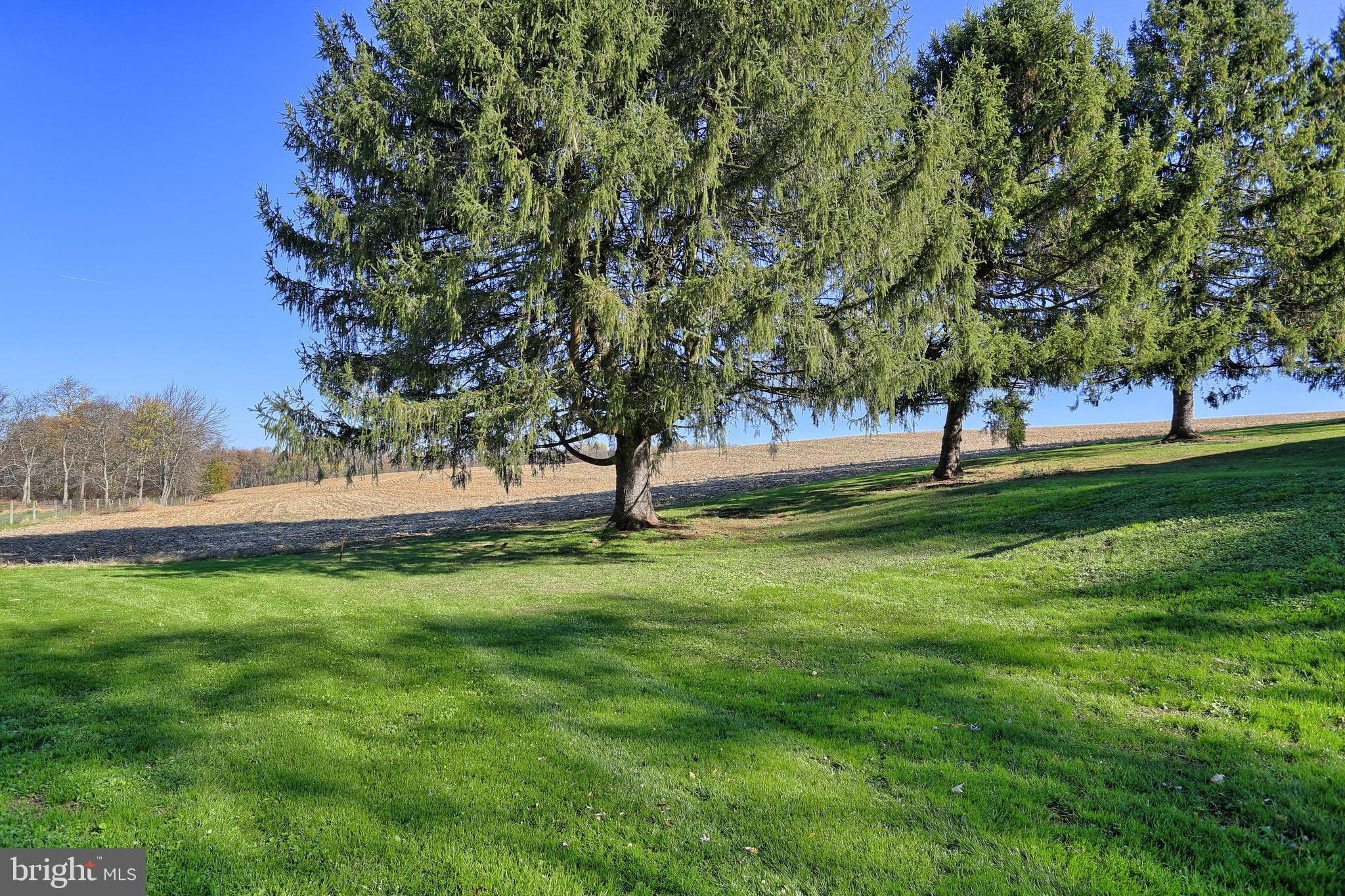 715 Graceton Road Fawn Grove, PA 17321 - Photo 29 of 36 View from backyard
