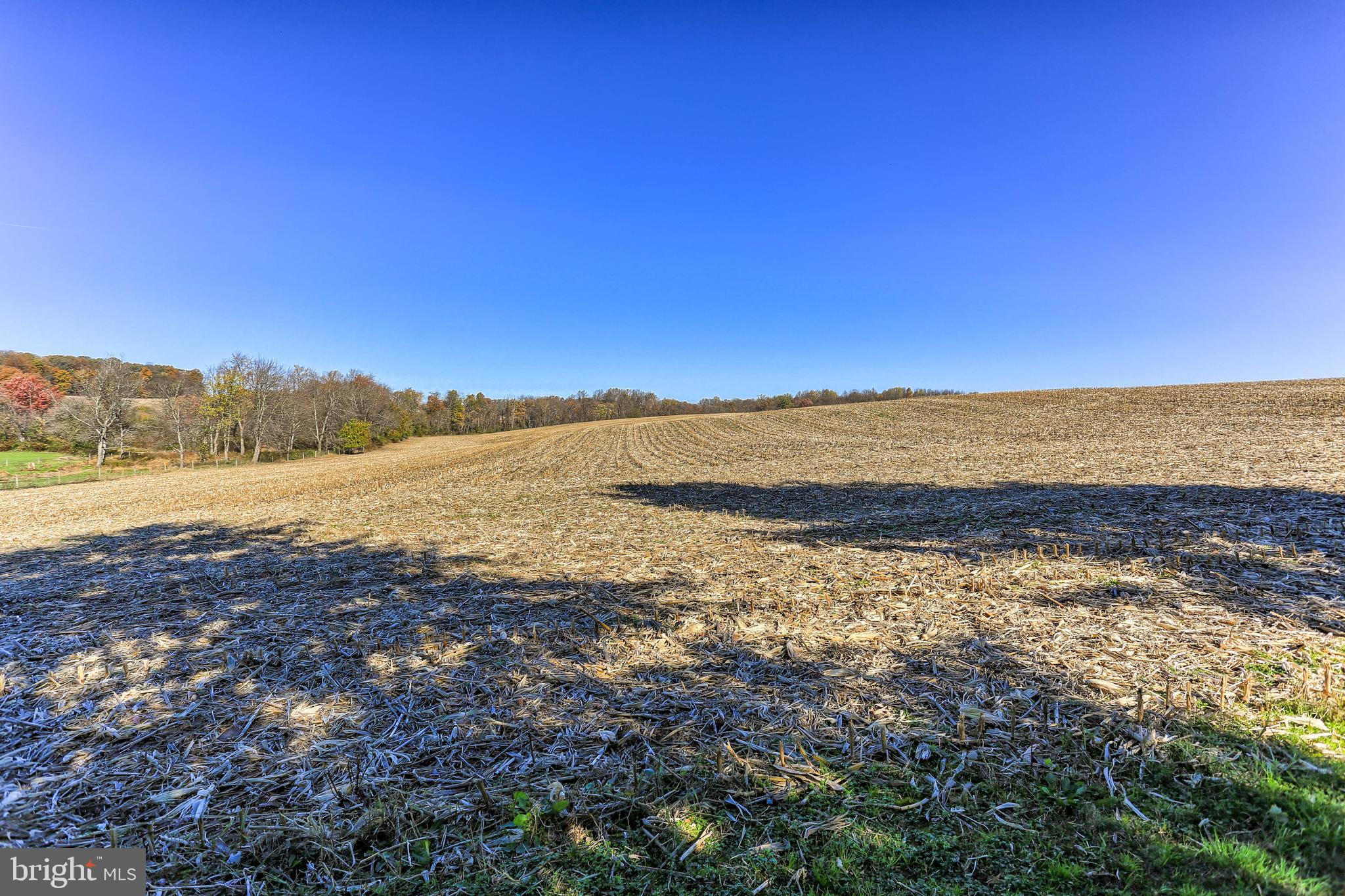 715 Graceton Road Fawn Grove, PA 17321 - Photo 31 of 36 Gallery Image 31