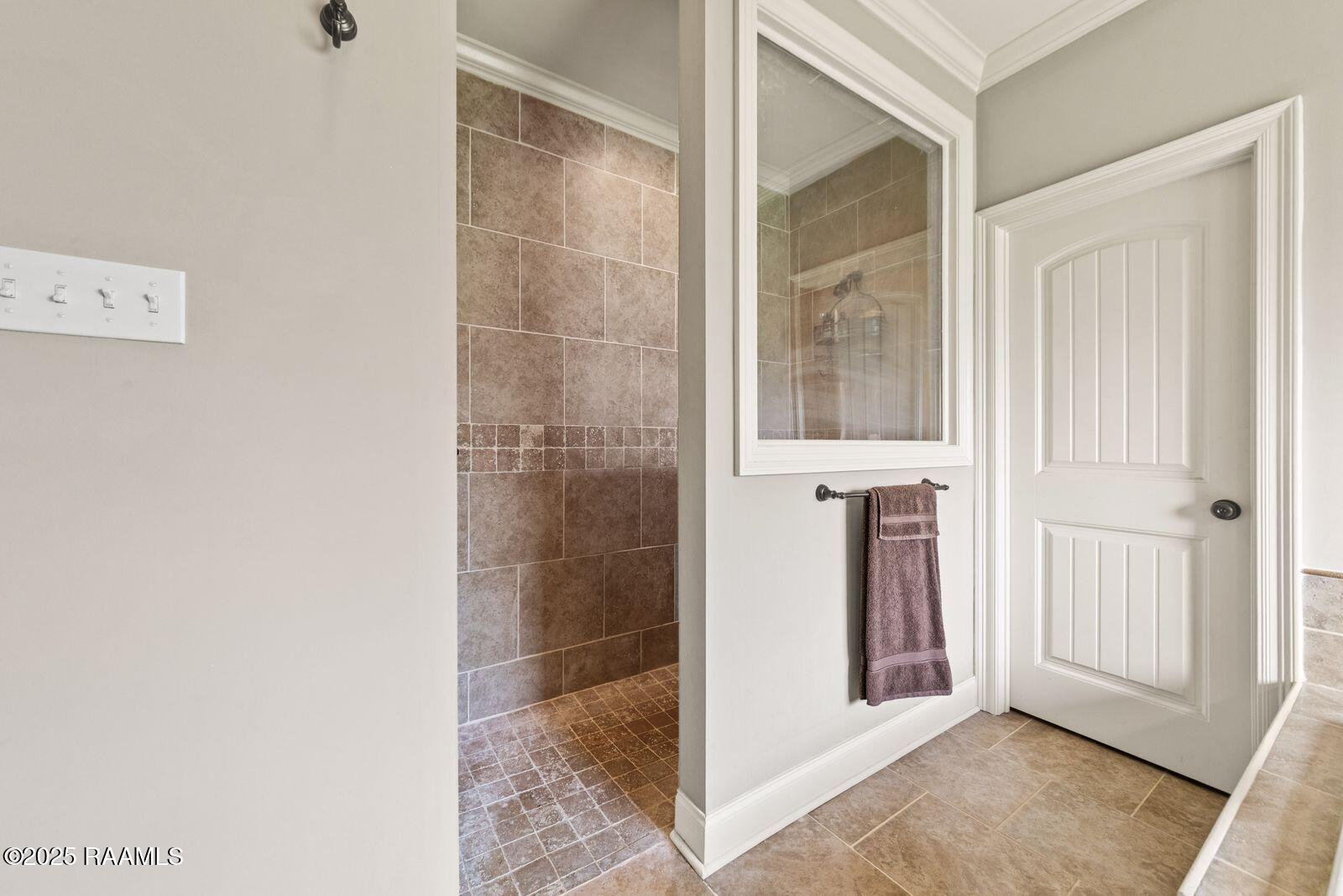 1181 Grand Loop Breaux Bridge, LA 70517 - Photo 14 of 40 Separate shower in primary bath