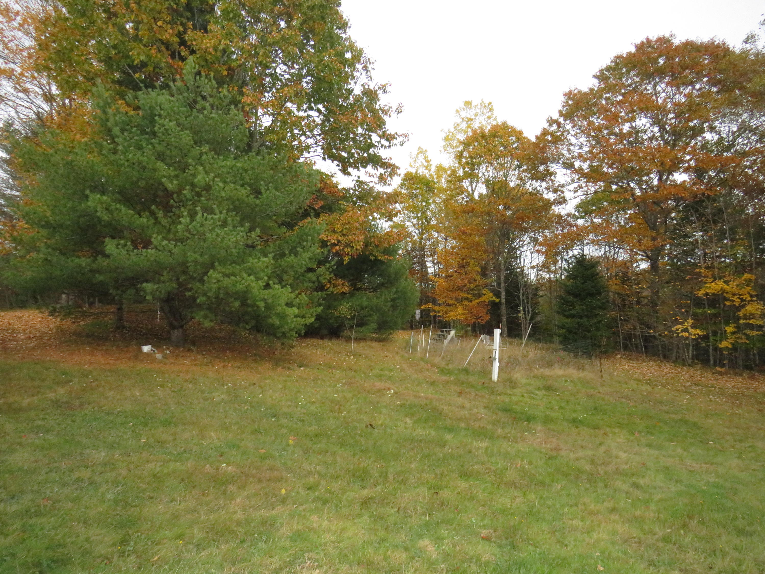 1499 Collinstown Road Appleton, ME 04862 - Photo 22 of 24 IMG_7599