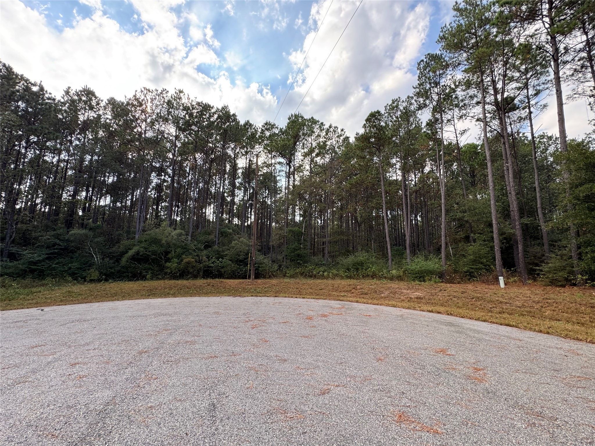 64-22-12 64-22-12 Granite Road Huntsville, TX 77340 - Photo 2 of 7