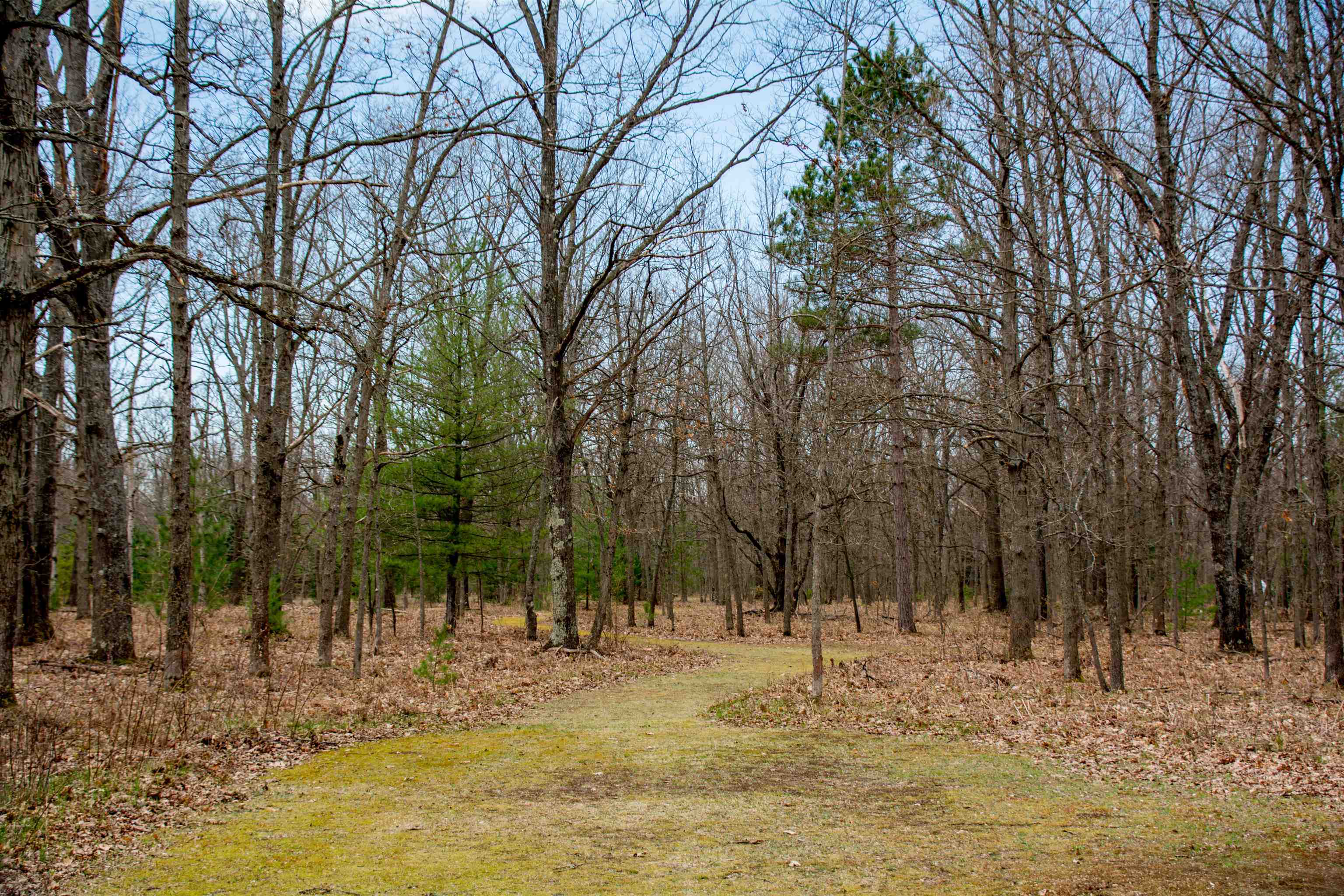 8418 Albrecht Road Interlochen, MI 49643 - Photo 9 of 42 1910224-8.JPG