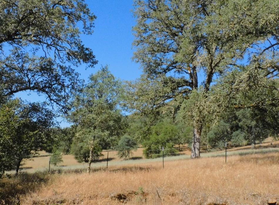 112 Union Mine Road El Dorado, CA 95623 - Photo 20 of 31