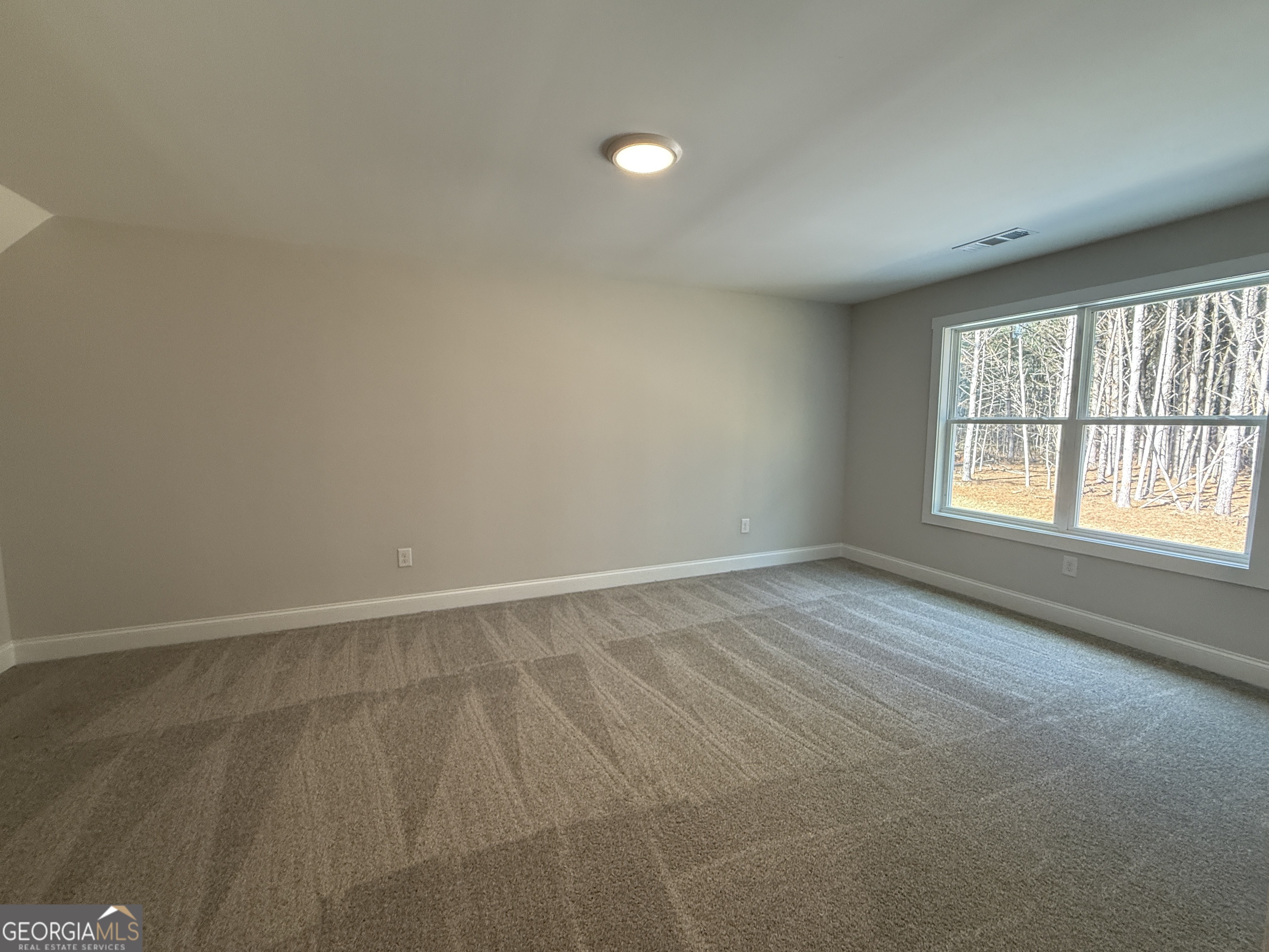 98 Mud Bridge Road The Rock, GA 30285 - Photo 55 of 58