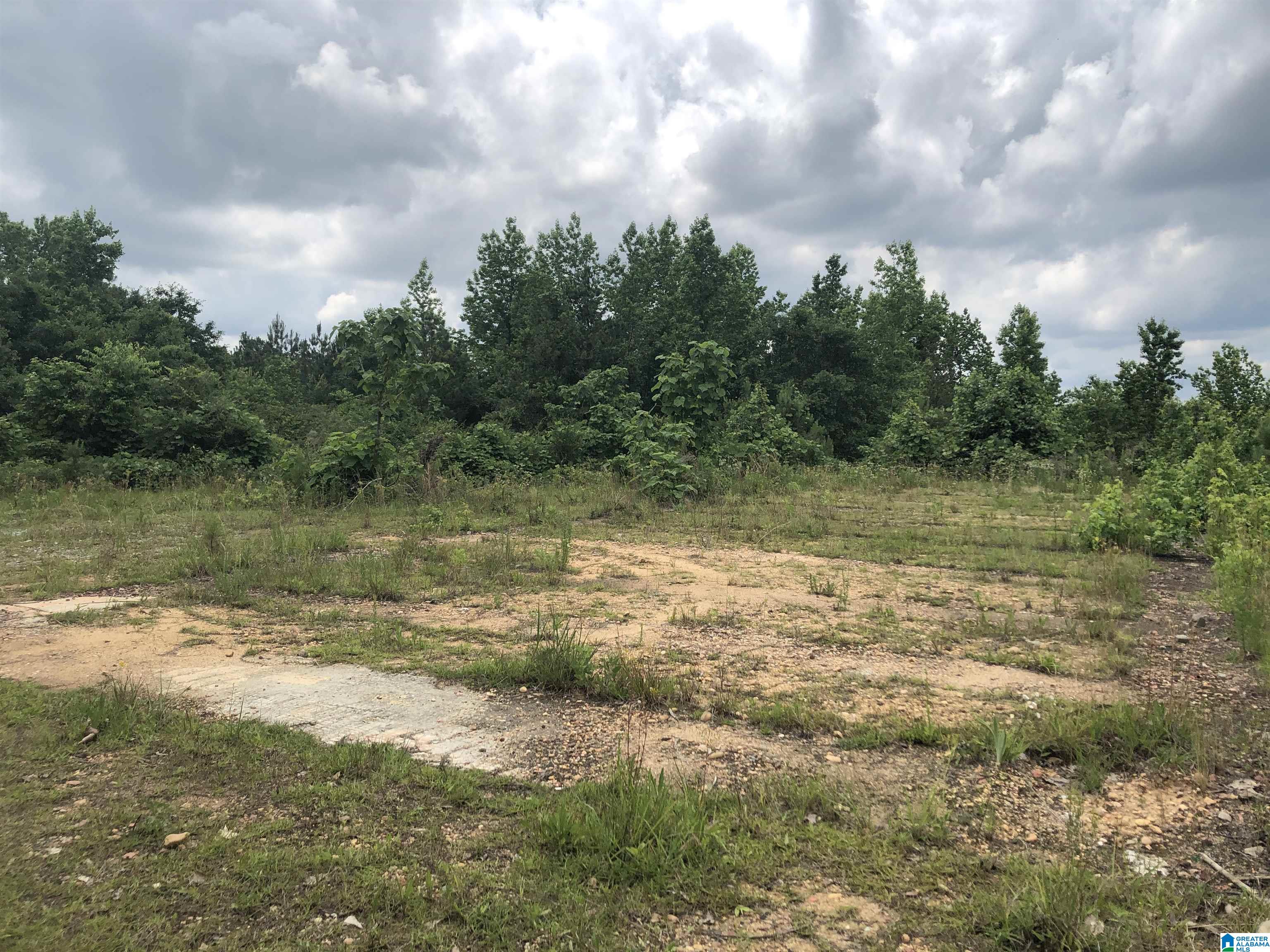 4620 County Road 7, Unit 1 Clanton, AL 35045 - Photo 2 of 4