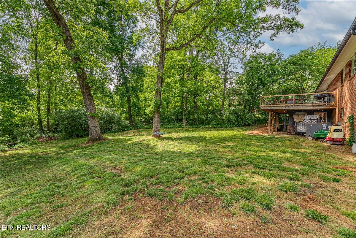 5209 Potomac Road Knoxville, TN 37920 - Photo 51 of 58 47-Backyard A1