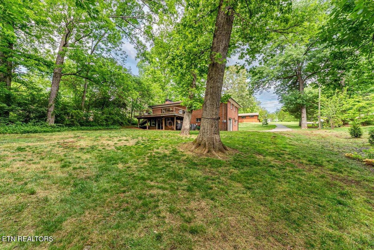 5209 Potomac Road Knoxville, TN 37920 - Photo 52 of 58 48-Backyard A2