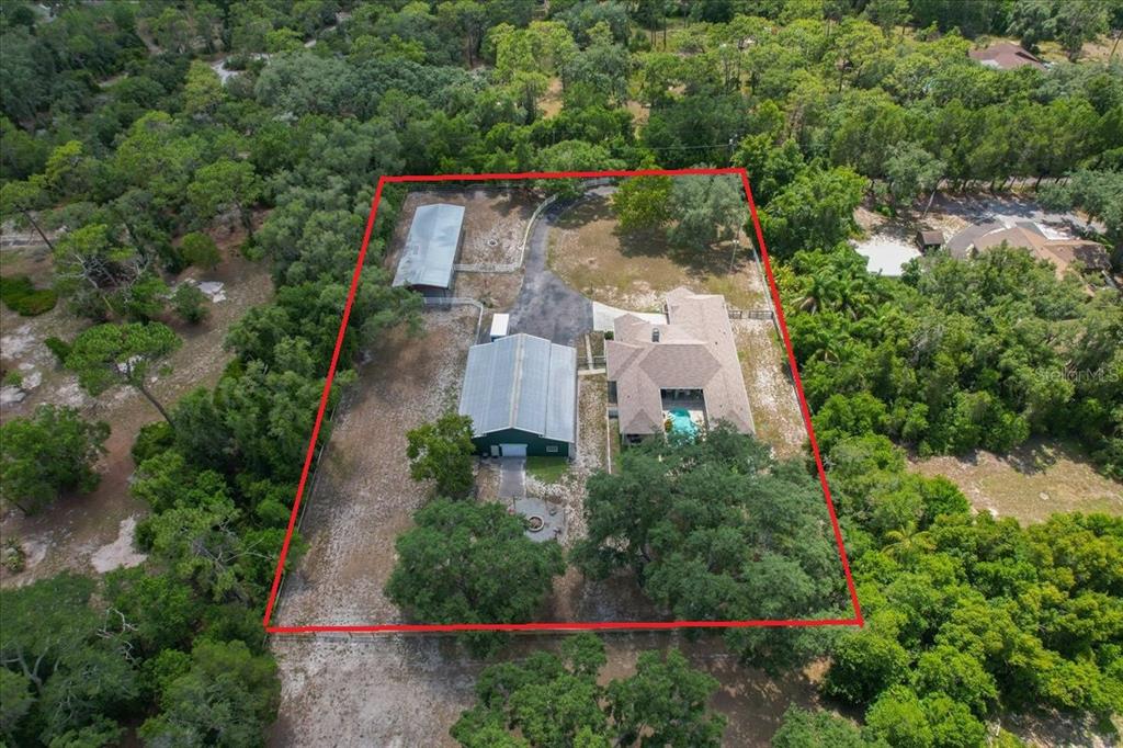 7014 Jones Road Odessa, FL 33556 - Photo 56 of 59