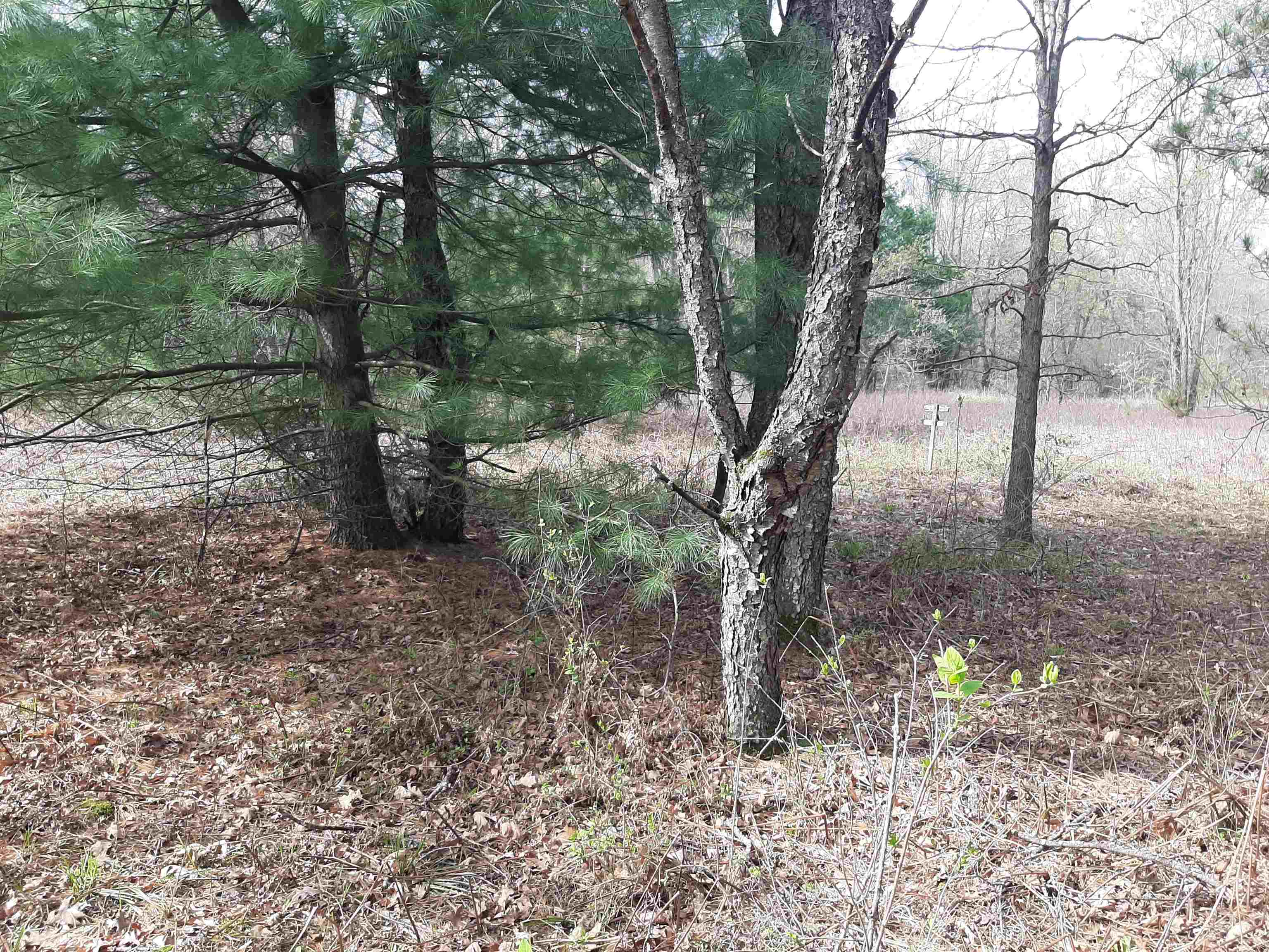 125 West Clarence Road Harrison, MI 48625 - Photo 29 of 44 Gallery Image 29