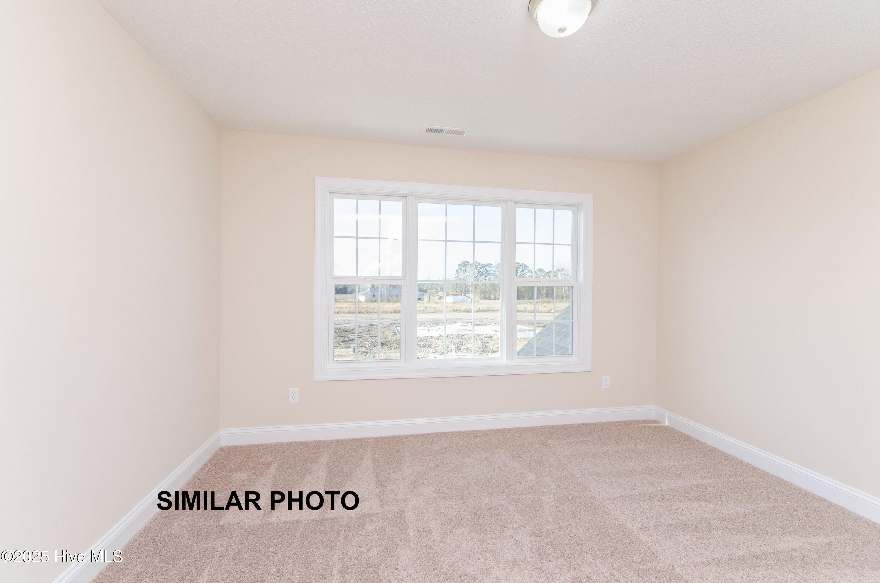 118 Sloth Lane Jacksonville, NC 28546 - Photo 29 of 40 DSC_1281