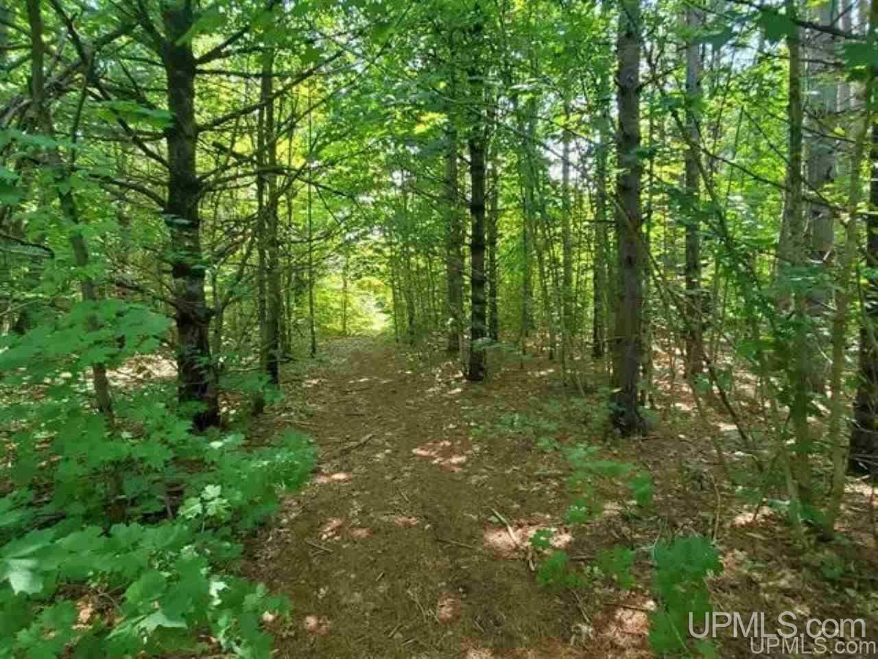 Tbd No 2-3 4 Obenhoff Road Atlantic Mine, MI 49905 - Photo 24 of 32