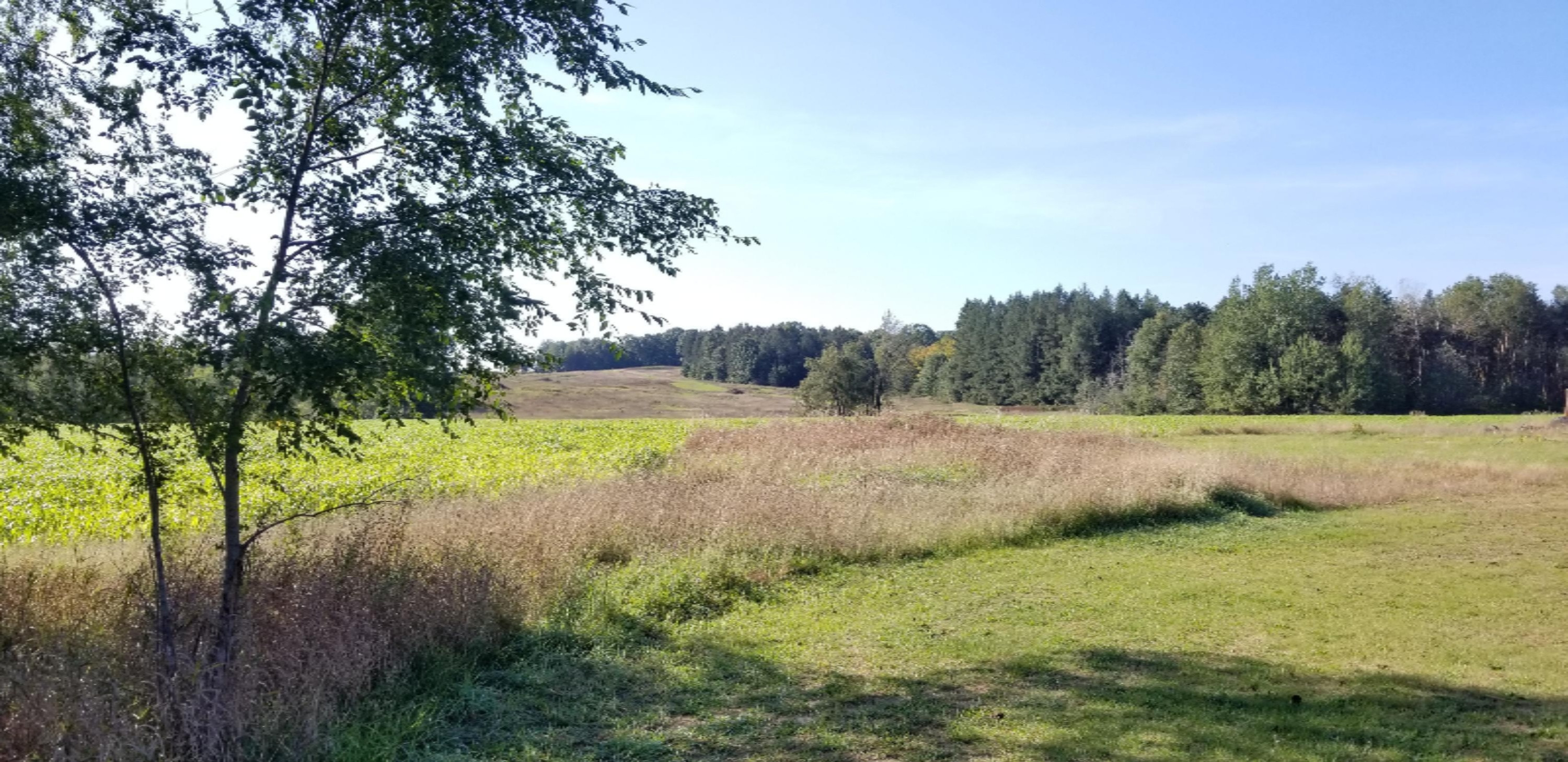 3433 Monroe Road Hart, MI 49420 - Photo 35 of 62 20191009_111134