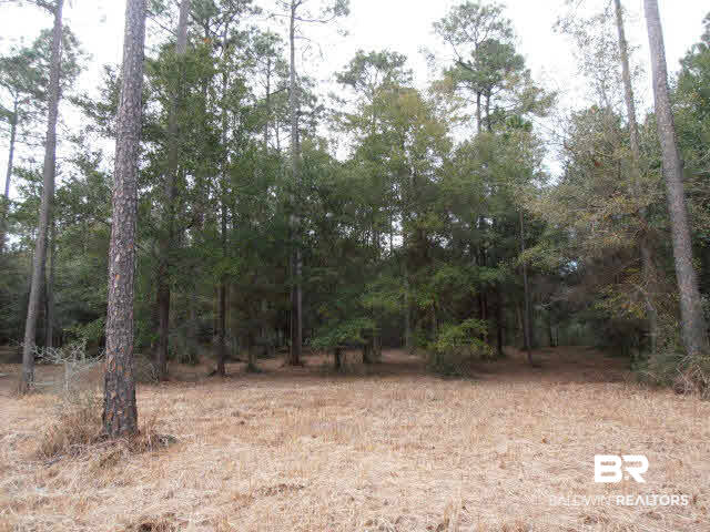 29409 Archie Road Elberta, AL 36530 - Photo 16 of 20 North of property