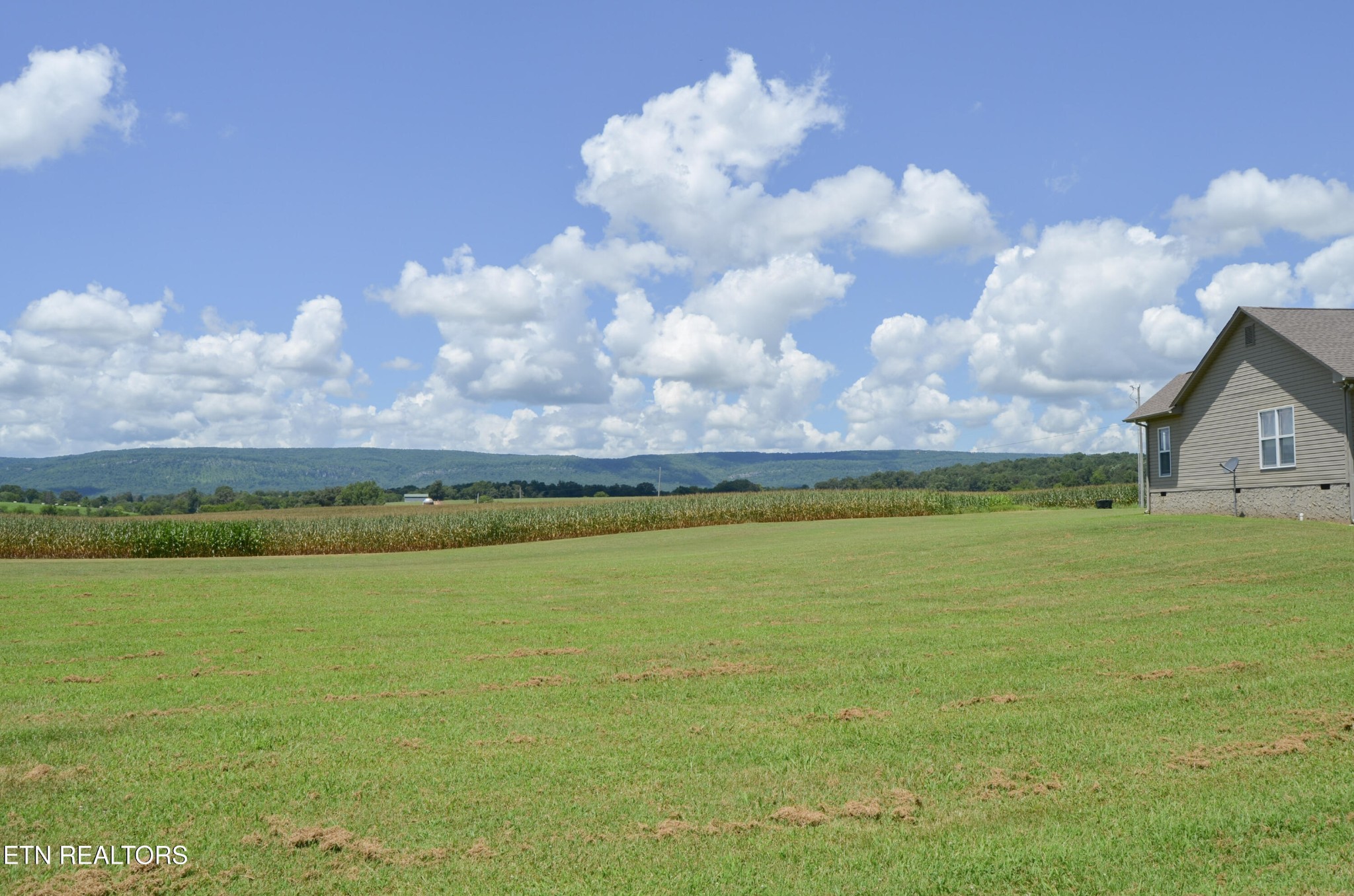 241 Terry Road Pikeville, TN 37367 - Photo 40 of 47