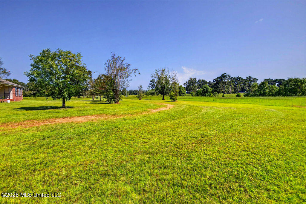 847 City Bridge Road Perkinston, MS 39573 - Photo 9 of 65 847CityBridgeRd-9