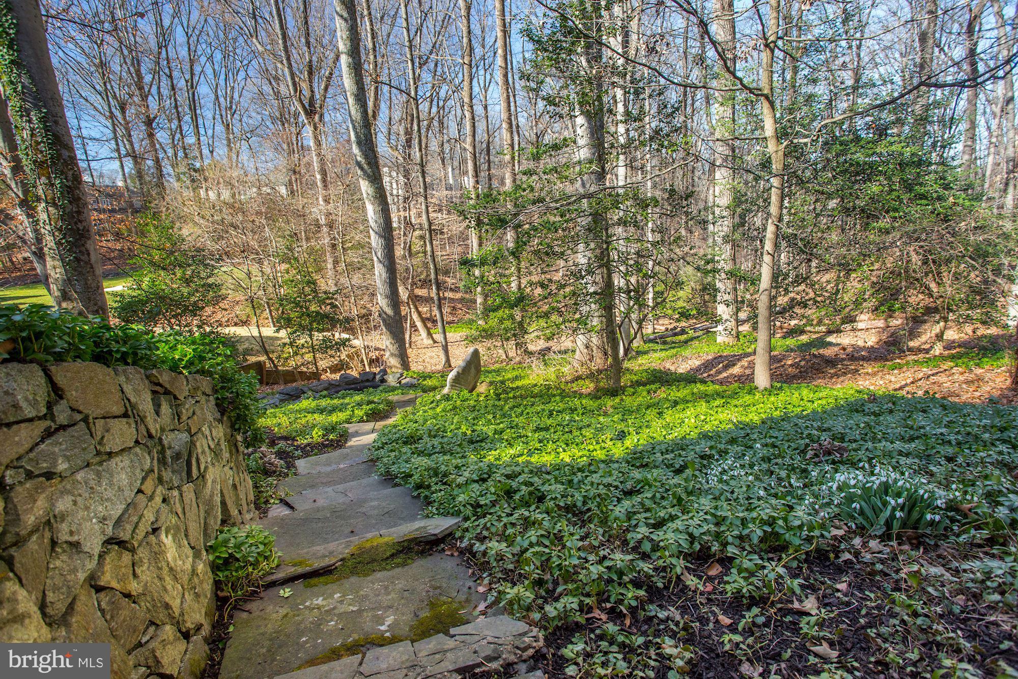 8005 Greentree Road Bethesda, MD 20817 - Photo 66 of 75