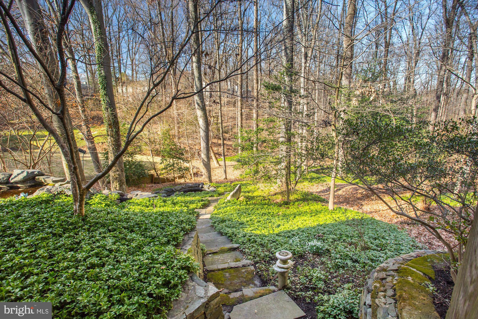 8005 Greentree Road Bethesda, MD 20817 - Photo 68 of 75