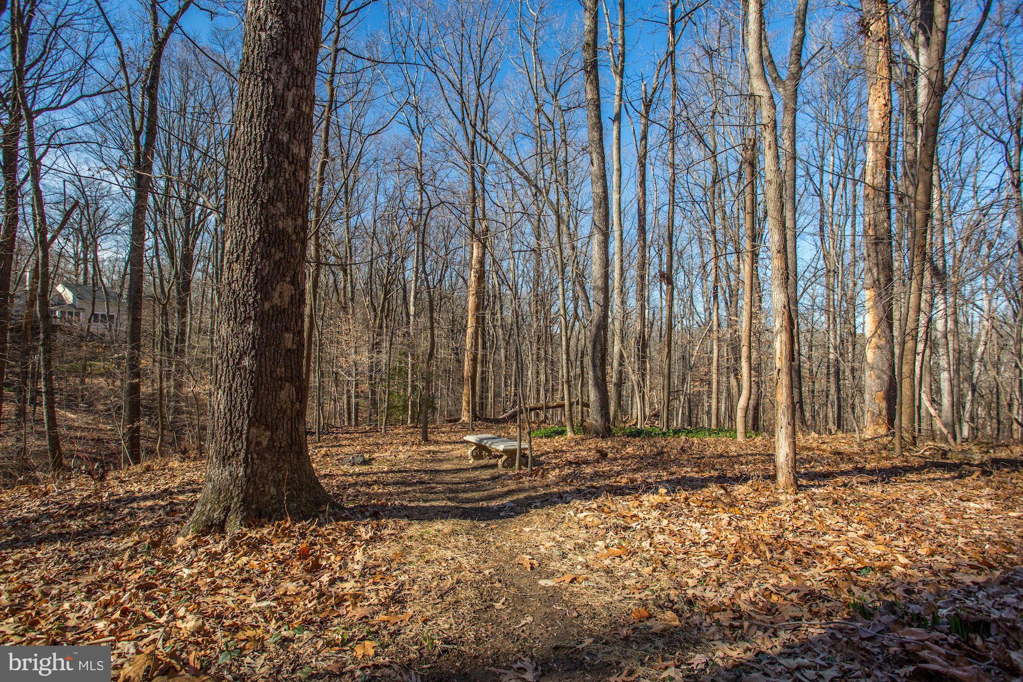 8005 Greentree Road Bethesda, MD 20817 - Photo 73 of 75