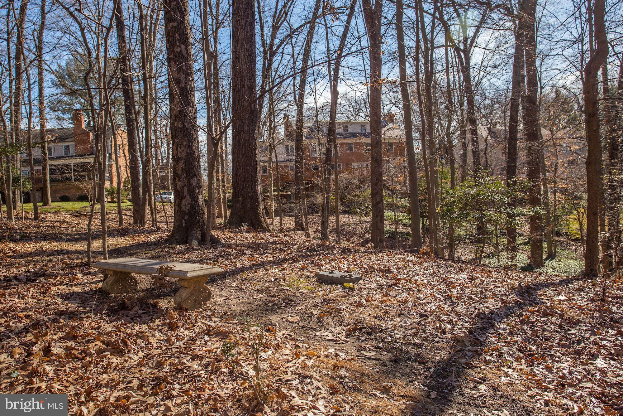 8005 Greentree Road Bethesda, MD 20817 - Photo 74 of 75