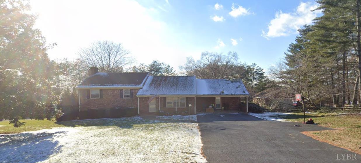 a view of a yard with a large tree