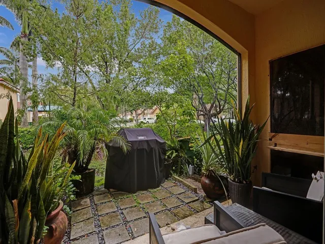 a view of a garden with plants