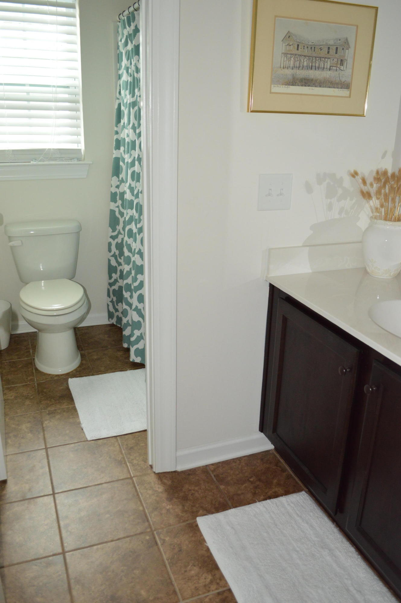 208 Rice Mill Place Charleston, SC 29492 - Photo 21 of 25 DSC_0867