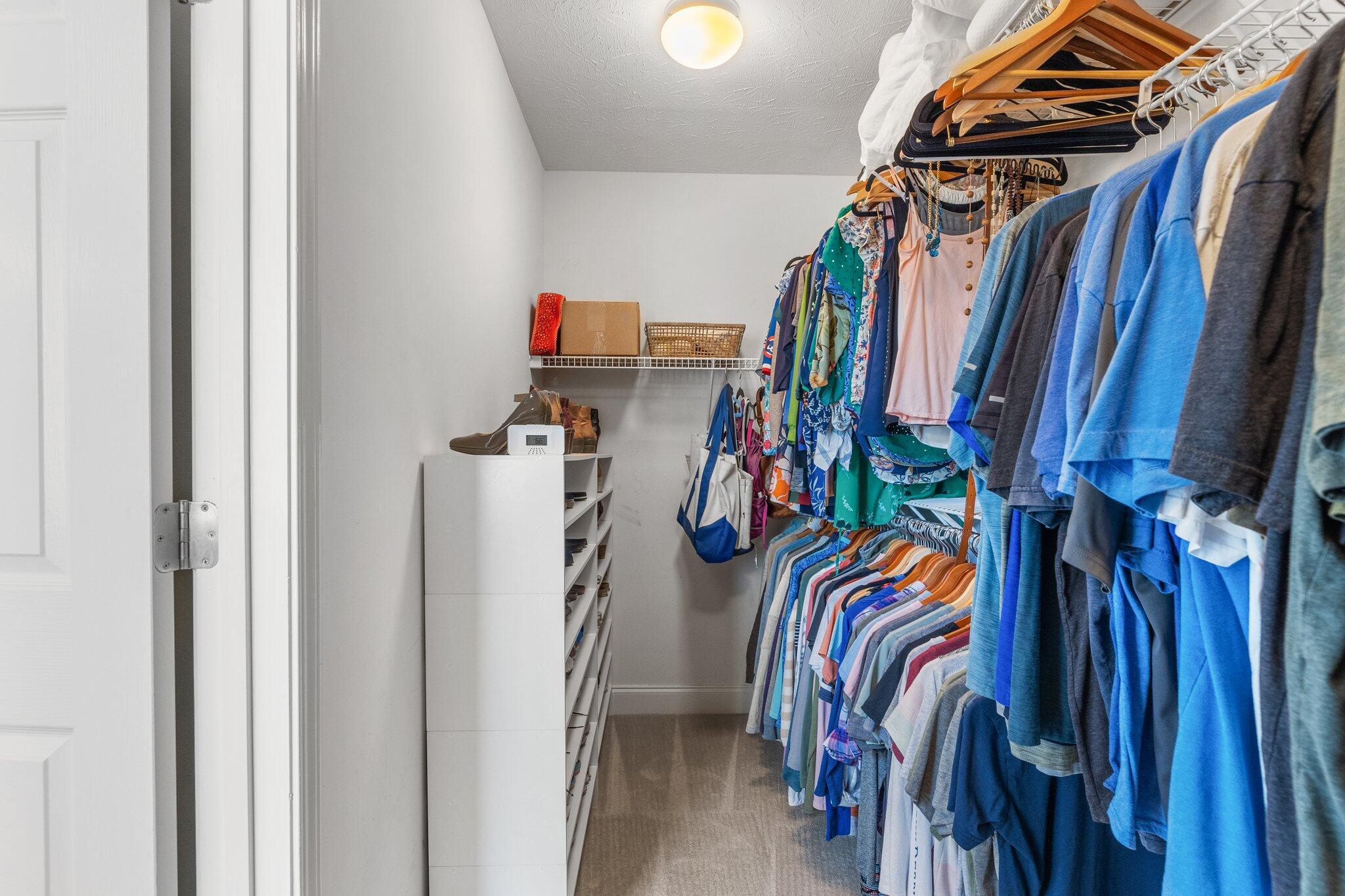 3040 Sandersville Road Lexington, KY 40511 - Photo 26 of 43 primary closet