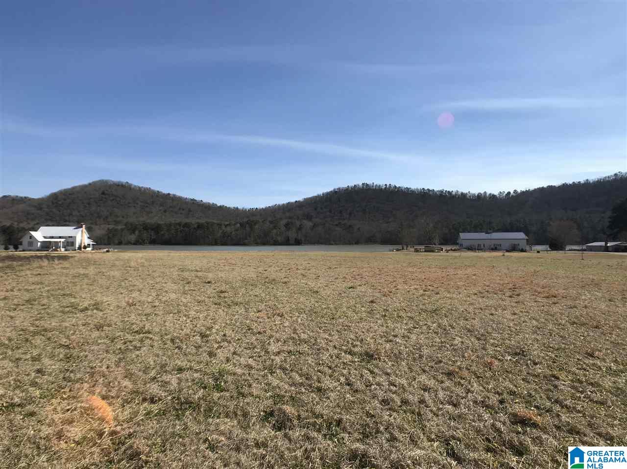 Greensport Road, Unit 2 53 Oneonta, AL 35121 - Photo 12 of 20