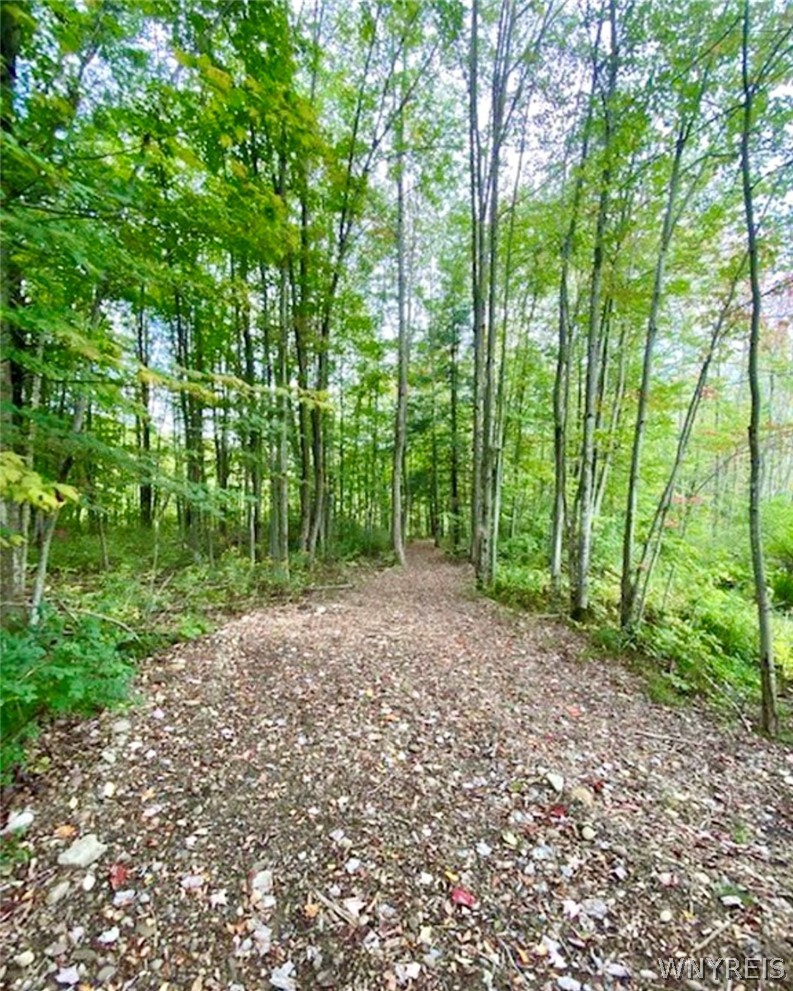 9069 West Hill Road Allen, NY 14735 - Photo 47 of 50