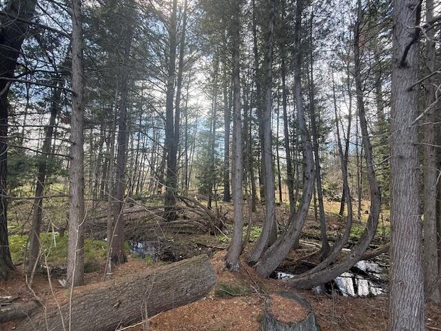735 North Lakola Road Leroy, MI 49655 - Photo 14 of 15 IMG_5970