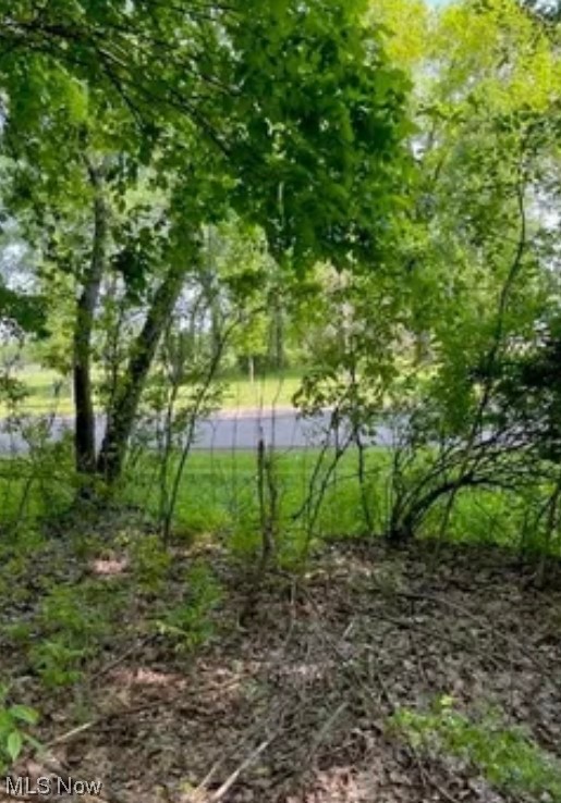 4767 Cooper Road Lowellville, OH 44436 - Photo 3 of 4 Gallery Image 3