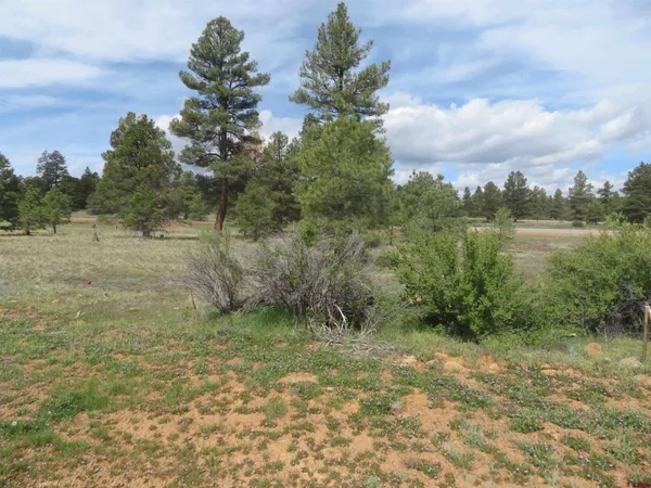 $99,900 | 97-81 Eldorado Street, Pagosa Springs, CO 81147