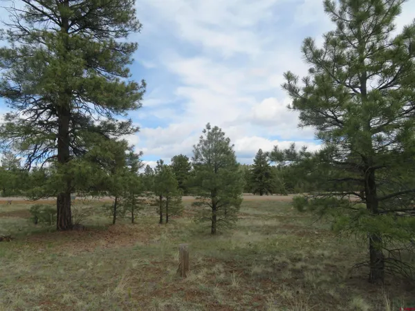 $99,900 | 97-81 Eldorado Street, Pagosa Springs, CO 81147