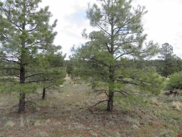 $99,900 | 97-81 Eldorado Street, Pagosa Springs, CO 81147