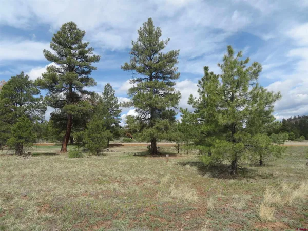 $99,900 | 97-81 Eldorado Street, Pagosa Springs, CO 81147