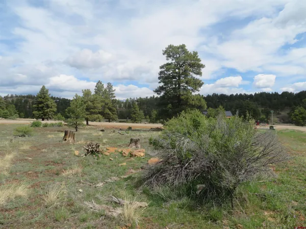 $99,900 | 97-81 Eldorado Street, Pagosa Springs, CO 81147