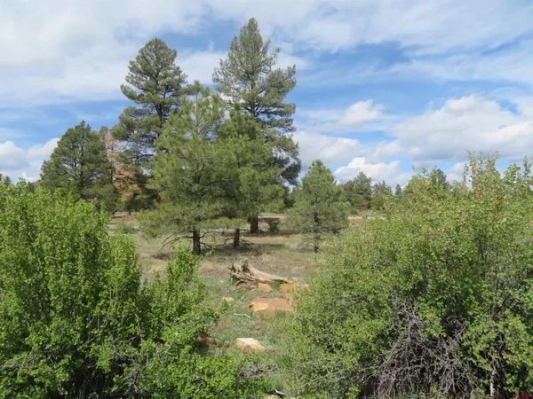 $99,900 | 97-81 Eldorado Street, Pagosa Springs, CO 81147