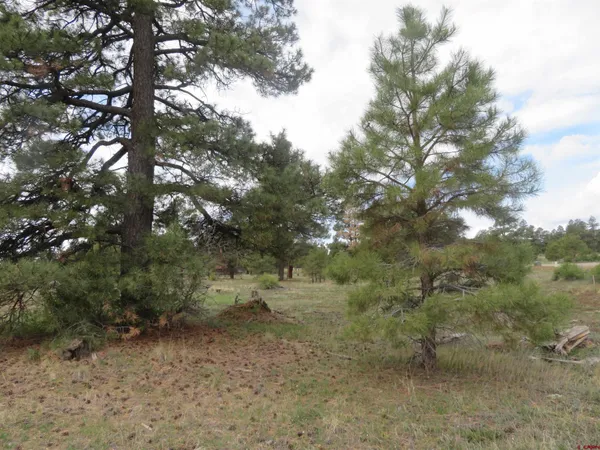 $99,900 | 97-81 Eldorado Street, Pagosa Springs, CO 81147