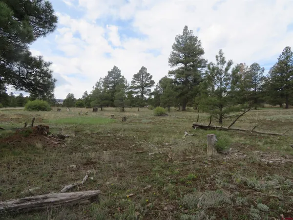 $99,900 | 97-81 Eldorado Street, Pagosa Springs, CO 81147