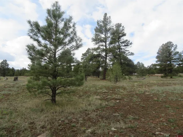 $99,900 | 97-81 Eldorado Street, Pagosa Springs, CO 81147