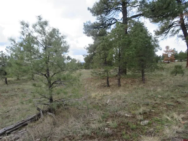 $99,900 | 97-81 Eldorado Street, Pagosa Springs, CO 81147